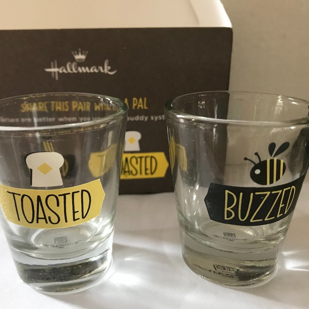 Hallmark Keepsake Pair of Shot Glasses Buzzed & Toasted Gag Gift Drinking Theme